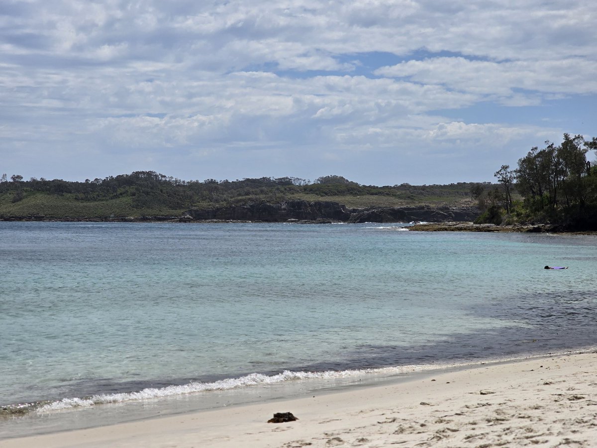 74abilas's tweet photo. Another day, another beach.
#murraysbeach
#jervisbay
#seaeaglewatchingoverme https://t.co/FQgdHiZDVd