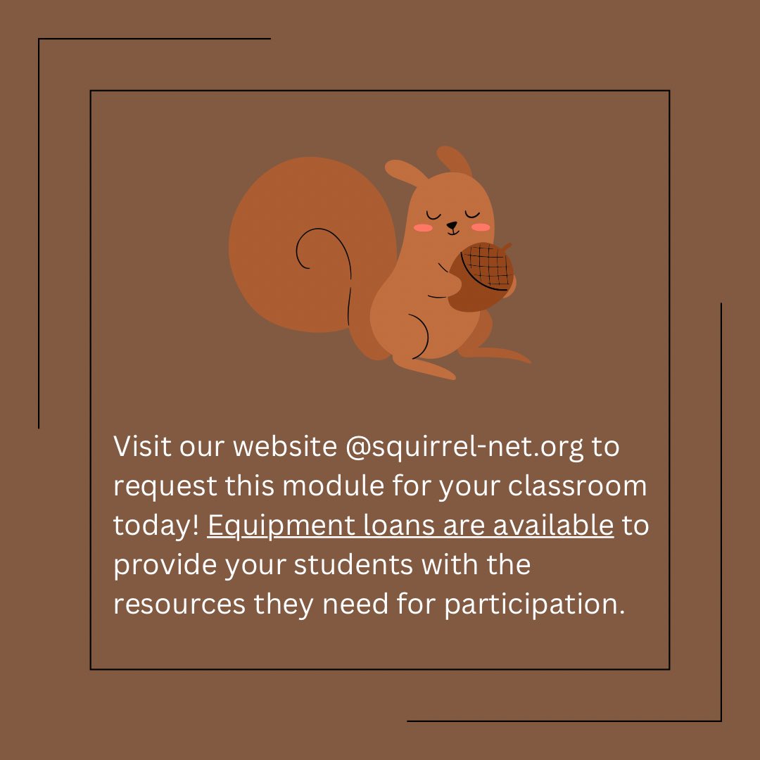 Are you looking for a fun, interactive way for students to learn in the classroom? Look no further and visit our website @stemsquirrels.com to request this module today! #STEMSquirrels #squirrel #modules #classroom