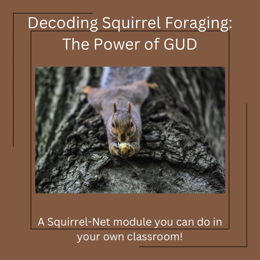 STEMSquirrels's tweet photo. Are you looking for a fun, interactive way for students to learn in the classroom? Look no further and visit our website @stemsquirrels.com to request this module today! #STEMSquirrels #squirrel #modules #classroom https://t.co/ryC853qA18