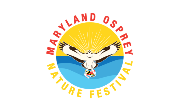 North Beach to Host Maryland Osprey Nature Festival on April 5, 2025 dlvr.it/THVZhm