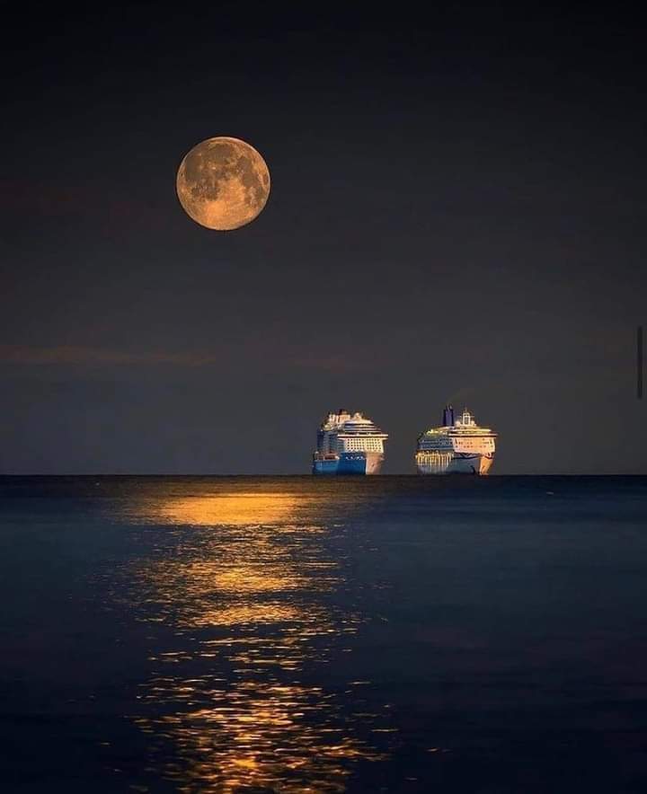 Elio Nieves 🇨🇺🙏🇺🇸 tweet media