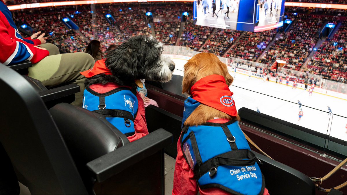 Nick a invité quelques amis poilus de la Fondation ASISTA à venir assister au match ce soir, dans le cadre de la soirée Le hockey en parle💚

Nick invited some pawesome friends from <a href="/AsistaFondation/">Fondation Asista / Asista Foundation</a> to tonight’s game as part of Hockey Talks Night

#GoHabsGo