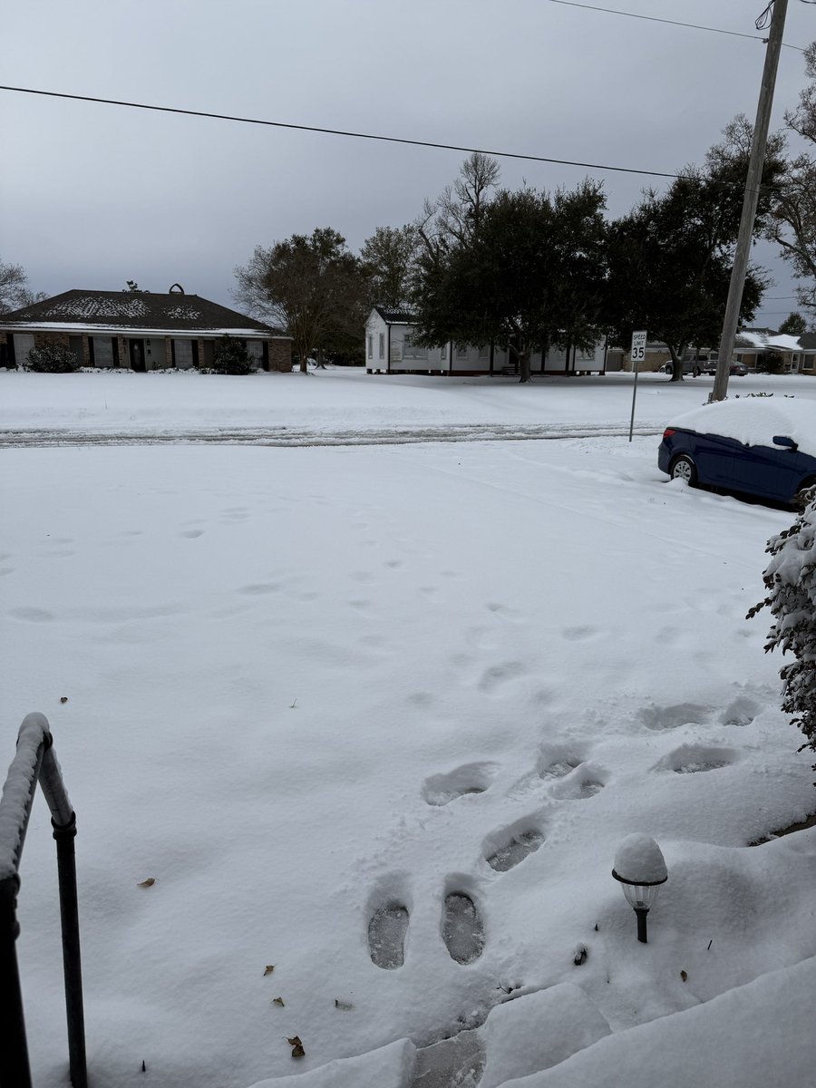strangeleesar's tweet photo. Well. This is new to me. #southlouisianasneauxday2025 https://t.co/KJ3NfeT0tU