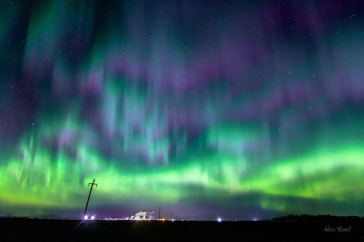 Longing for nights under the aurora again