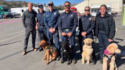 Prince Harry out and about today supporting the community.