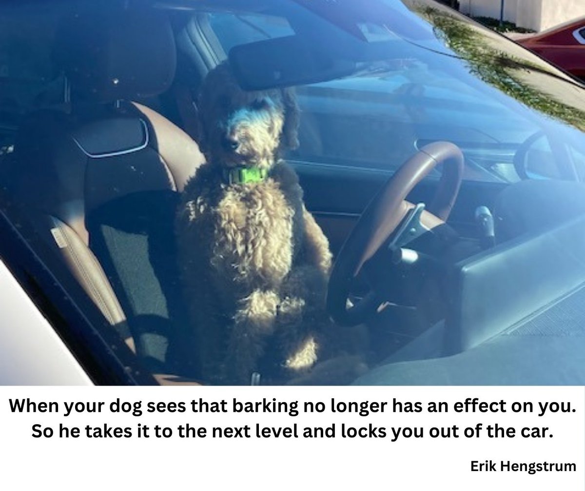AuthorErik's tweet photo. #ContentStrategy #dogsofX #dogsheet #PuppyLovers #puppycon2024 #comedycentral #dogdelivery #dogman #storytime #readersoftwitter https://t.co/yv4tPdTzJr