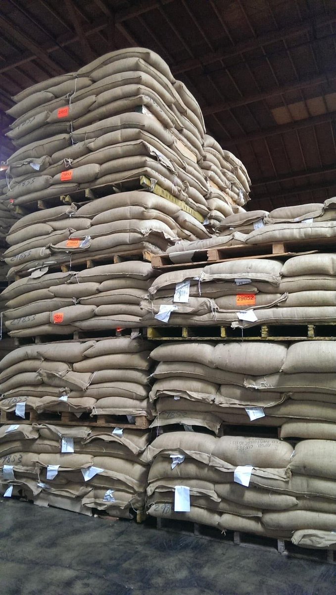 ModernAgri_Tips's tweet image. Without proper storage, agriculture suffers. 🏚️ Post-harvest losses rob farmers of income, food systems of stability, and economies of growth. 

A simple warehouse isn’t just storage. it’s resilience, sustainability &amp;amp;  opportunity. #PostHarvestLoss #FoodSecurity #AgInfrastructure