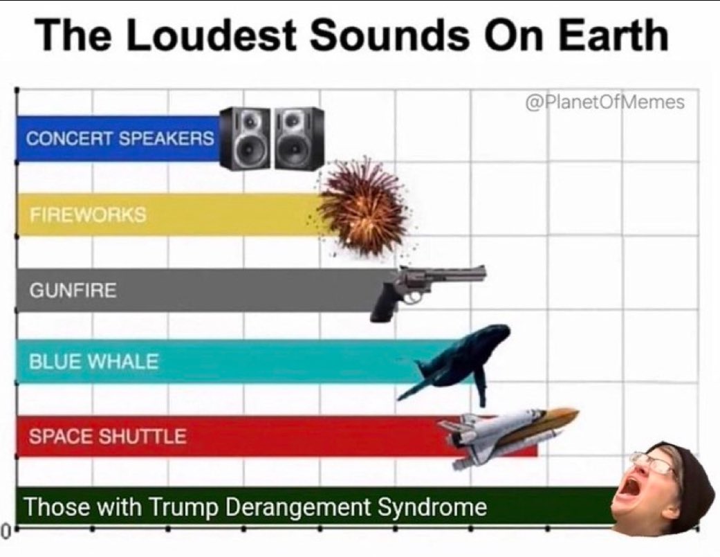 Defundmedianow's tweet photo. @nicksortor Things are about to get loud 😂 https://t.co/2VG17AtAzK