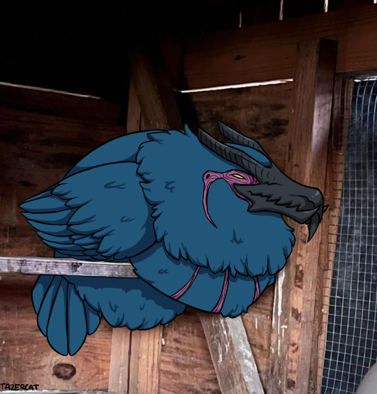 tazer_cat's tweet photo. He's not fat, just fluffy. #DMC5 https://t.co/sk6hGFocKH