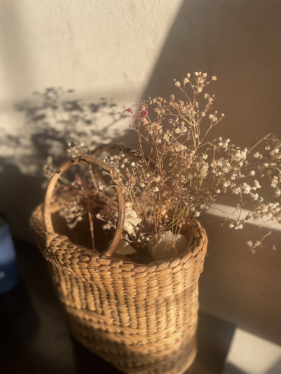 aagrabakijasmin's tweet image. #morningpages