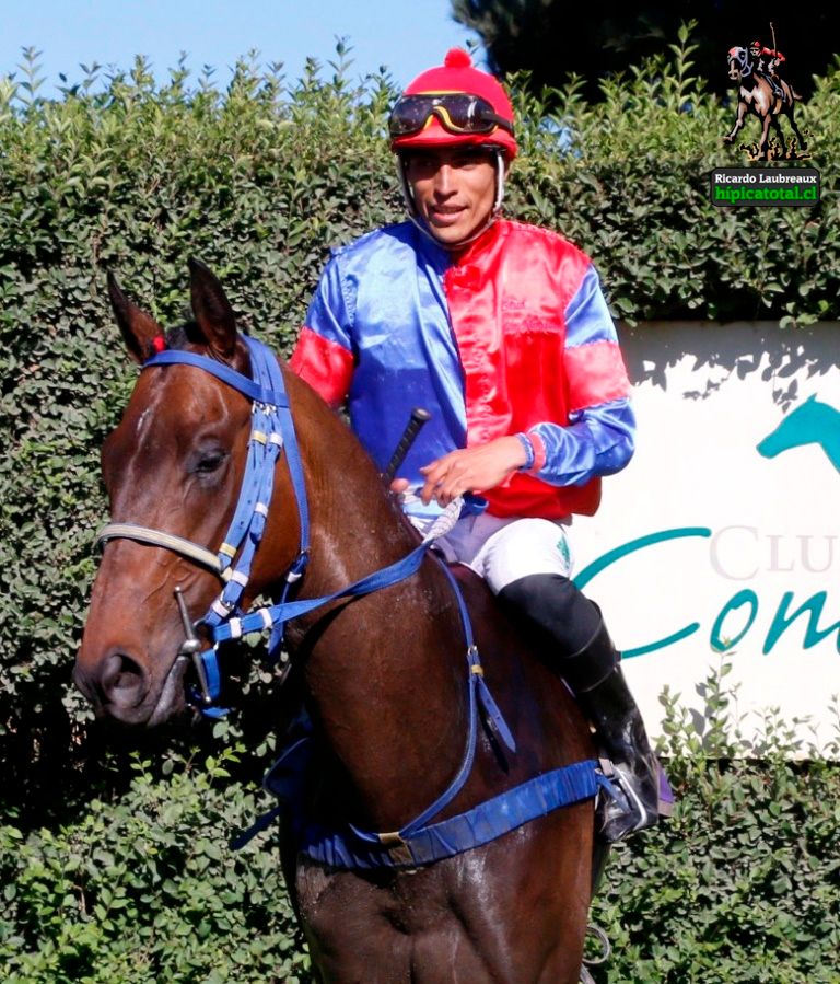 hipicatotal's tweet image. SPECIAL MACHINE “Pagó $12.30”. El pupilo de VÍCTOR GALLARDO ganó por cabeza en su salida de perdedor. El tresañero es nieto de TUMBLEBRUTUS, defiende al stud LA MONITA y lo guio JOSE L. LEIVA. #hipicatotal #SpecialMachine #VíctorGallardo #Tumblebrutus #StudLaMonita #JoséLLeiva