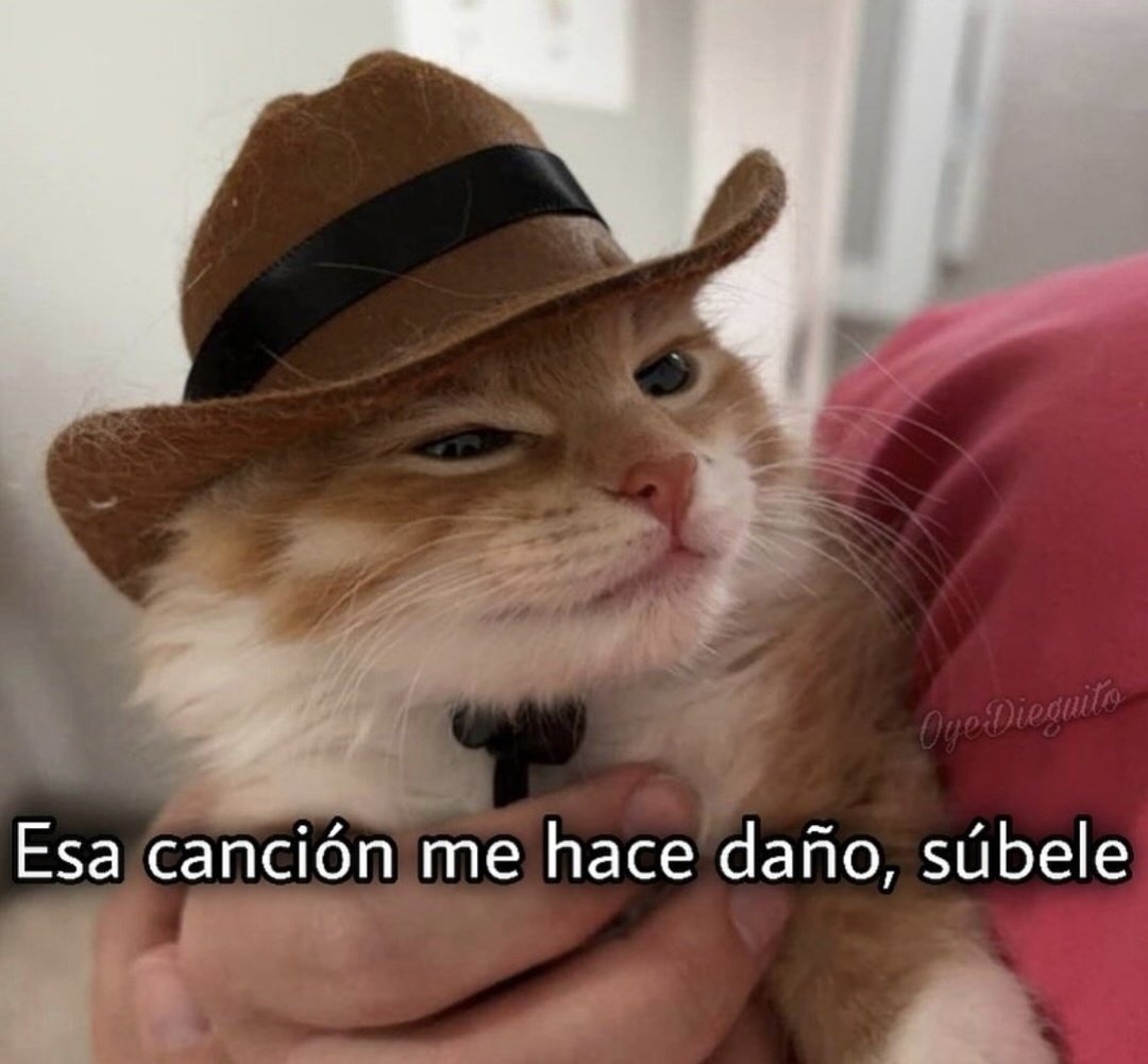 En Júpiter (@en_jupiter_) on Twitter photo 