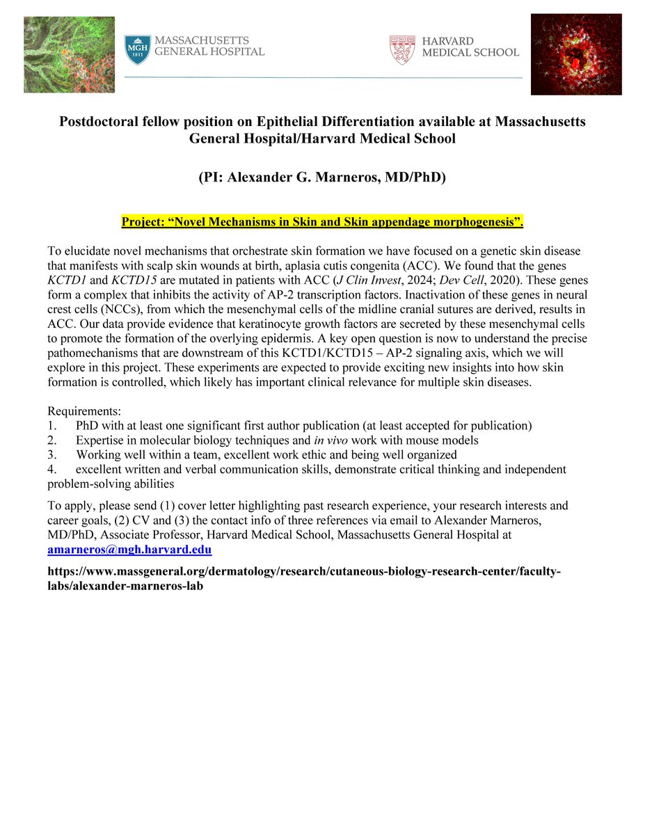 Marneros Laboratory (@marnerosl) on Twitter photo Marneros Lab: #postdoc opening in skin biology at MGH/Harvard. contact: agmarneros@gmail.com #phdchat #AcademicJobs #ScienceJobs #PhD #AcademicTwitter #postdoclife #fellowship #position
<a href="/sciencejobs_usa/">Science Jobs USA</a>
<a href="/bostonpostdocs/">Boston Postdoctoral Association (BPDA)</a>
@postdocjobs
@postdocjobsbio Marneros Lab: #postdoc opening in skin biology at MGH/Harvard. contact: agmarneros@gmail.com #phdchat #AcademicJobs #ScienceJobs #PhD #AcademicTwitter #postdoclife #fellowship #position
<a href="/sciencejobs_usa/">Science Jobs USA</a>
<a href="/bostonpostdocs/">Boston Postdoctoral Association (BPDA)</a>
@postdocjobs
@postdocjobsbio