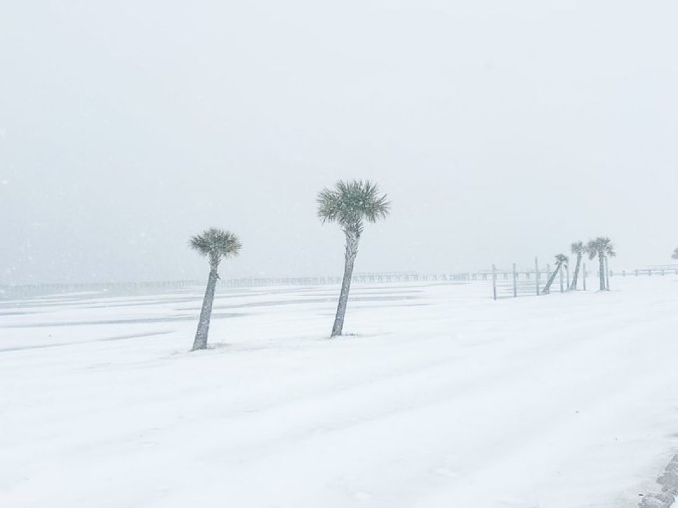 Divya_Mudunuri's tweet photo. Palm Trees and Snow in a single pic !?

Now, this is my dream vacation 🤩 https://t.co/2C1dD2HitL