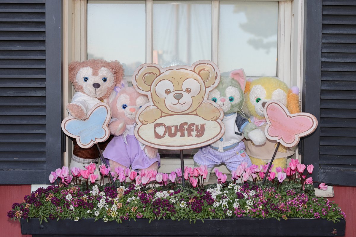 🐻🐱ダッフィーとジェラトーニだよ！
🐶🦊私たちもいるよ！
🐻せ、狭い．．．💦

#ダッフィー
#TDR
#東京ディズニーリゾート