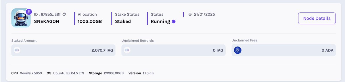 CardanoNik's tweet image. I just deployed my second $IAG node. I decided to launch this one a bit earlier in anticipation of @IagonOfficial's delegated staking feature and offer the community ~23TB of storage to stake to.