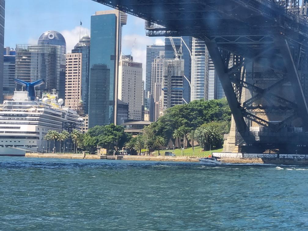 ThrowbackBound tweet media