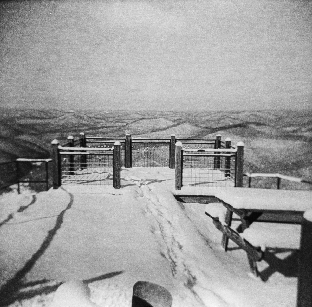 CrisRitchiePics's tweet image. Winter in Eastern Kentucky, with the Holga on Kodak Tri-X. I like shooting with this little plastic camera, especially in black and white.