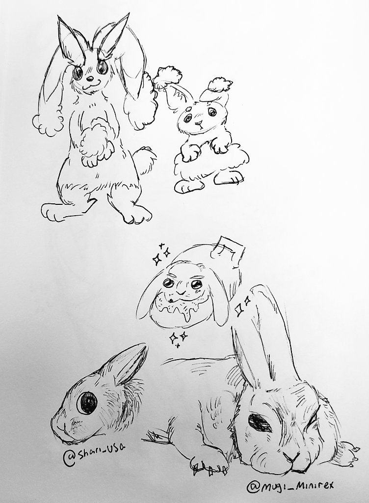 F1uffStuff's tweet photo. @shari_usa
@mugi_minirex

Bunny!!! 🐇💖🫶 https://t.co/iztmB6lmIH