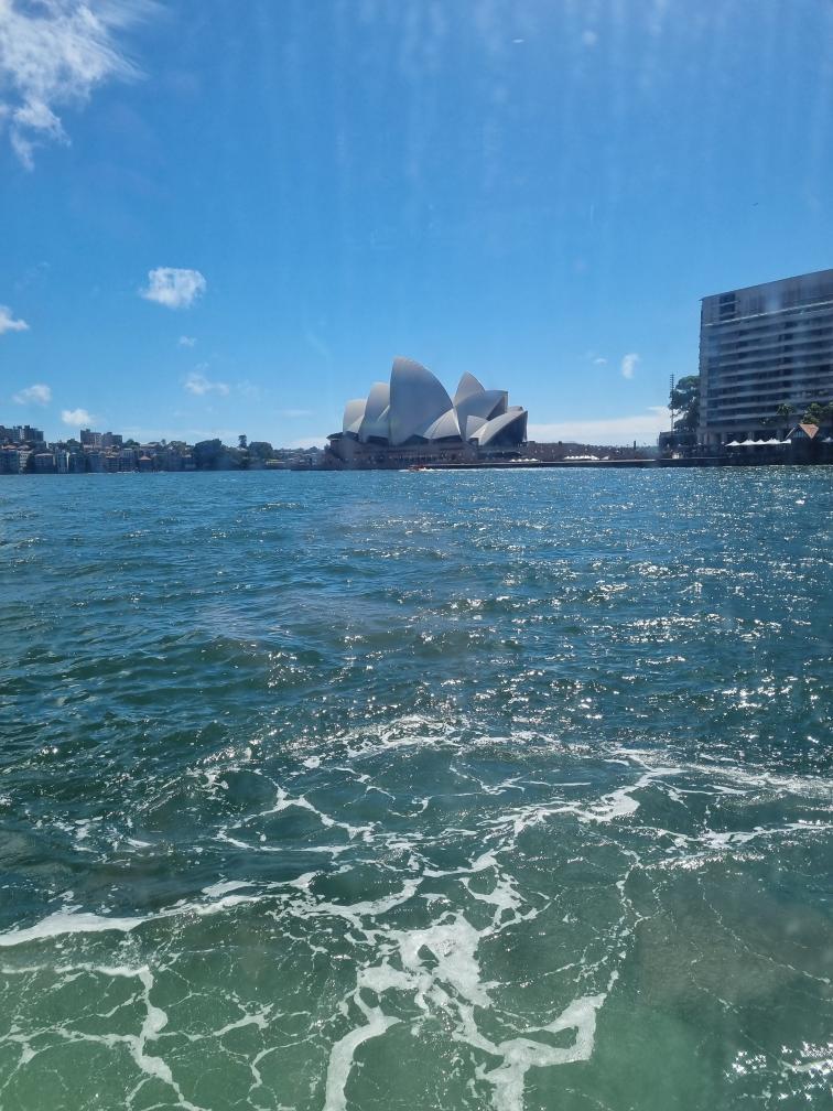 ThrowbackBound tweet media