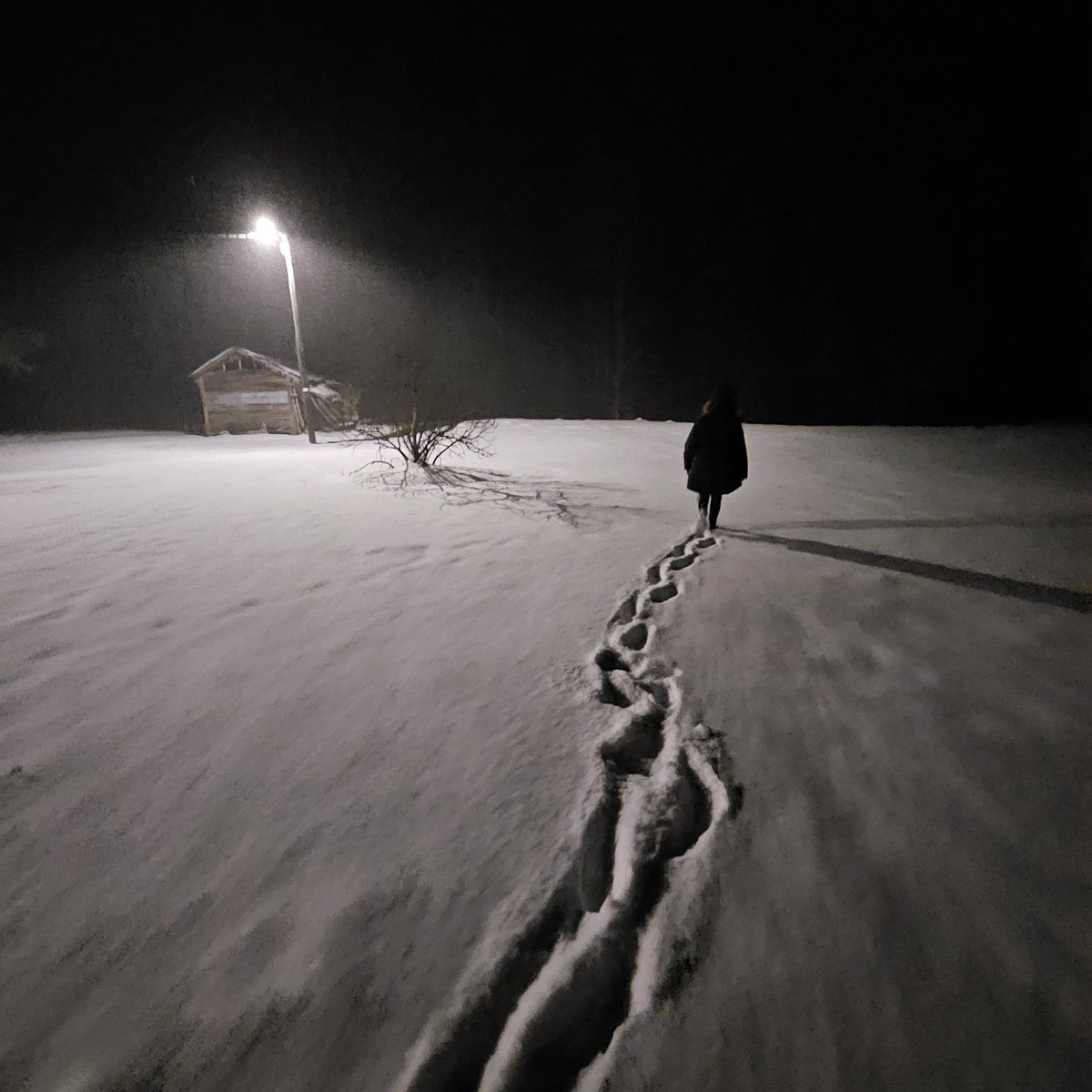 South Georgia. 10 miles east of Moultrie Ga. Amazing snowfall across the South today and tonight. 4.25 inches so far. <a href="/spann/">James Spann</a> <a href="/simpsonWVTM13/">Jason Simpson</a> <a href="/StephWVTM13/">Stephanie Walker</a>  <a href="/YolandaWALBWx/">Yolanda Amadeo WALB</a> <a href="/HarmonyWx2023/">Harmony Mendoza</a> <a href="/AndrewGortonWx/">Andrew Gorton WTOC</a> <a href="/amanduh_curran/">Amanda Curran ☼</a> <a href="/EmilyRoehler/">Emily Roehler</a> <a href="/WXgirlKerri/">Kerri Copello</a> <a href="/weatherchannel/">The Weather Channel</a>