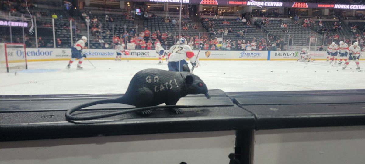 Rudedeck's tweet image. Nice!!!!!  I&apos;m in the building tonight with my two kids (they&apos;re wearing the wrong colors though)!!!!  Go Cats Go!!! Decker from Eastvale &amp;amp; my two little ones are streaming tonight on the @FlaPanthers app! #WorldFamousFormerTwitterSegment 🐀