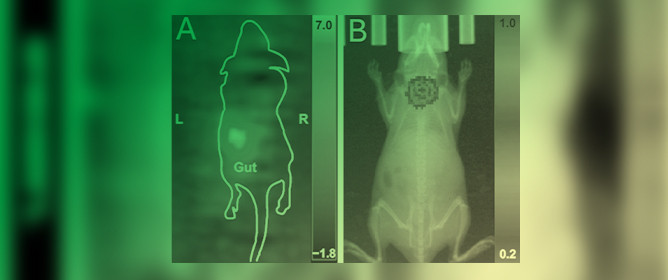 Tomography MDPI (@tomography_mdpi) on Twitter photo #newstory
🎇A Comparison of the Sensitivity and Cellular Detection Capabilities of Magnetic Particle Imaging and Bioluminescence Imaging by Ms. Sophia Trozzo, et al. 📷<a href="/SchulichMedDent/">Schulich WesternU</a> #MostView #MedicalImaging #ImagingTech #MedicalResearch
mdpi.com/2379-139X/10/1… #newstory
🎇A Comparison of the Sensitivity and Cellular Detection Capabilities of Magnetic Particle Imaging and Bioluminescence Imaging by Ms. Sophia Trozzo, et al. 📷<a href="/SchulichMedDent/">Schulich WesternU</a> #MostView #MedicalImaging #ImagingTech #MedicalResearch
mdpi.com/2379-139X/10/1…