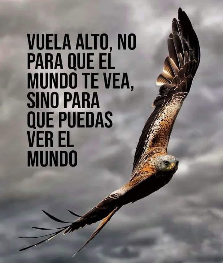 REFLEXIONES:
about.me/fundacionprese…... #frasesmotivadoras #frasescelebres #CitasFamosas #pensamientospositivos #palabrassabias #reflexiones #cerodiscriminacion #reels #trends #viral #porquelavidacontinua #preservate #gentepreservate #redessociales #fundacionpreservate