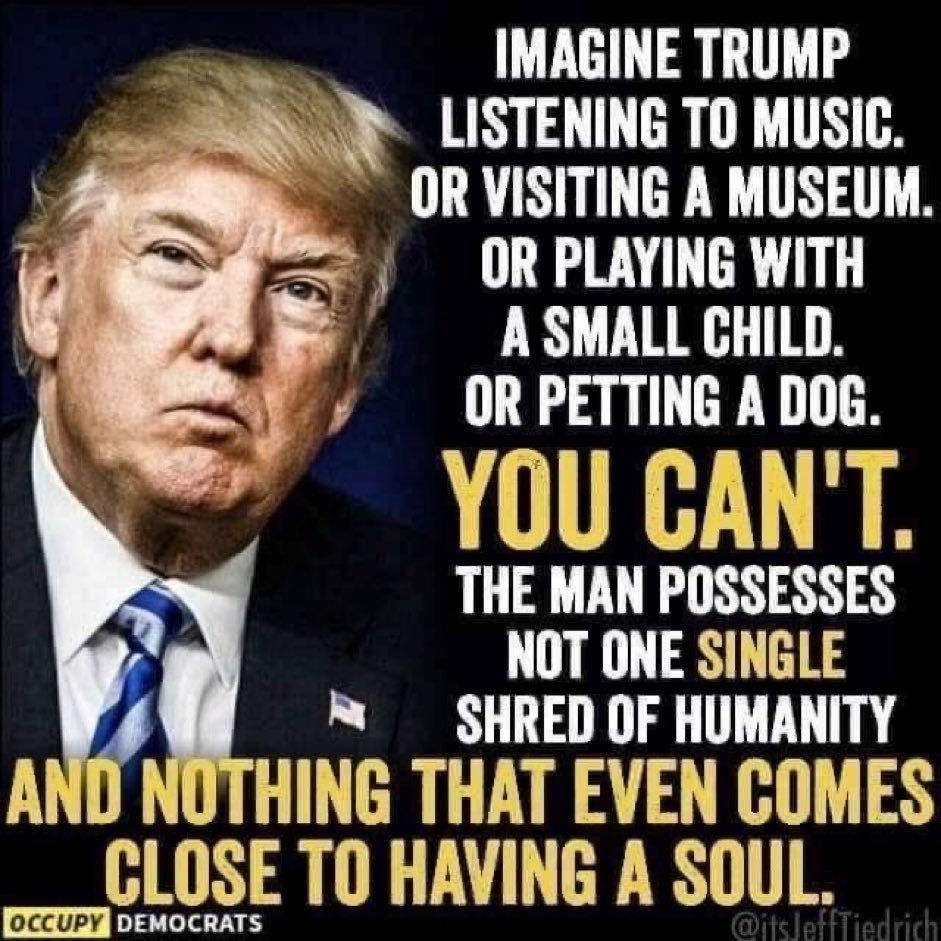 Damaan4u33's tweet photo. Impossible, Trump has no soul! Who else agrees? ✋️ https://t.co/WFlj3C10cc