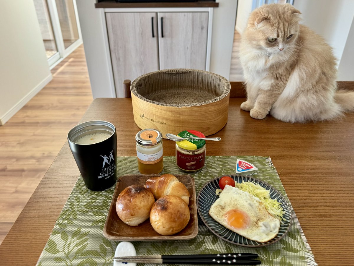 ndTu67XYaawnA2U's tweet photo. 朝食と猫達
Breakfast & Cats
#猫 #スコティッシュフォールド #手作りパン #安納芋ジャム #ピーナッツペースト #目玉焼き #コーンスープ
#cat #scottishfold #homemadebread #annoimojam #peanutpaste #friedegg #cornsoup https://t.co/MIpxeKKJlR