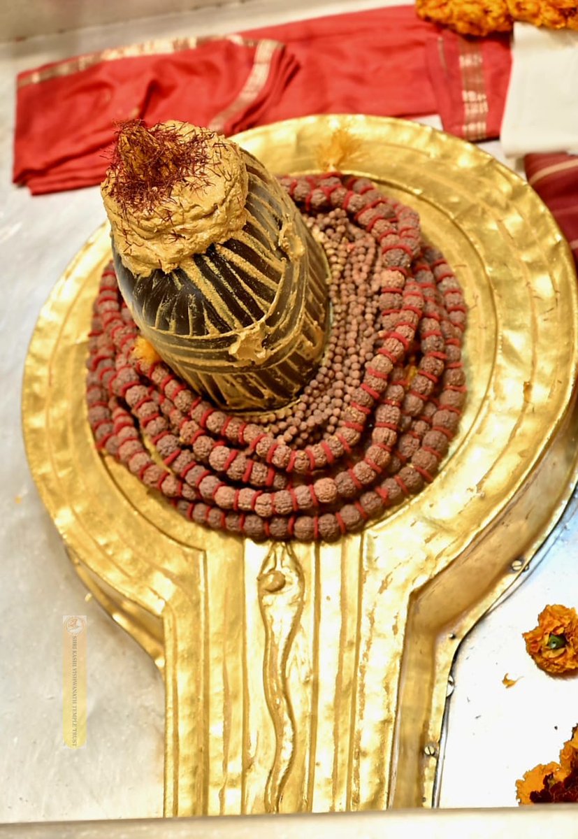 ShriVishwanath's tweet photo. दिनांक (22.01.2025), बाबा विश्वनाथ के मंगला आरती, दर्शन
#kashi #darshan #VishwanathDham https://t.co/MAomsgYFZd