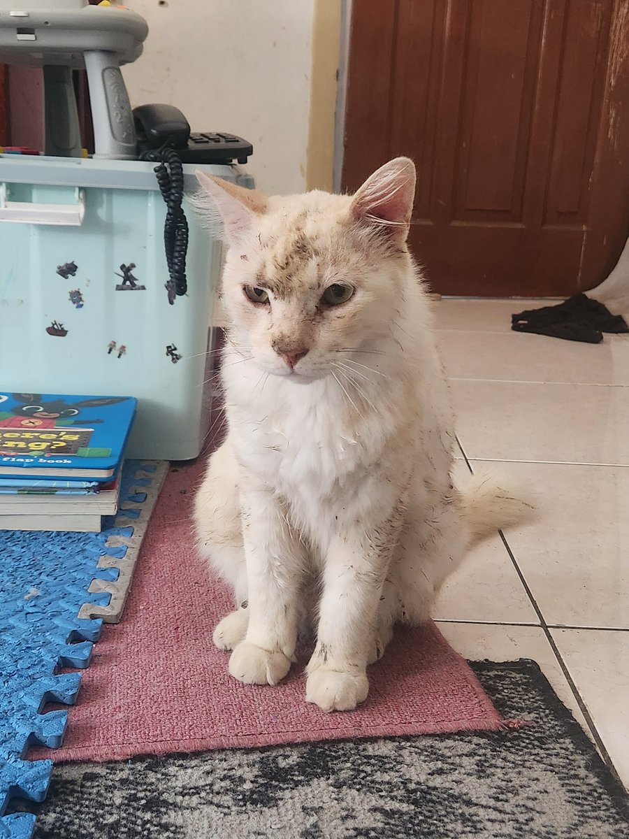 Hari hari kimi gelut. Hadehhh