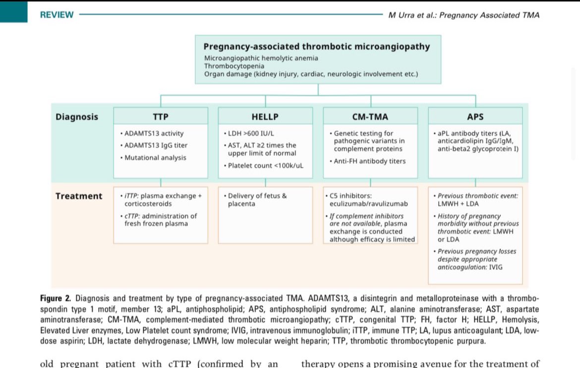 🫘🤰TMA in Pregnancy 

kireports.org/action/showPdf…

<a href="/KIReports/">KIReports</a>