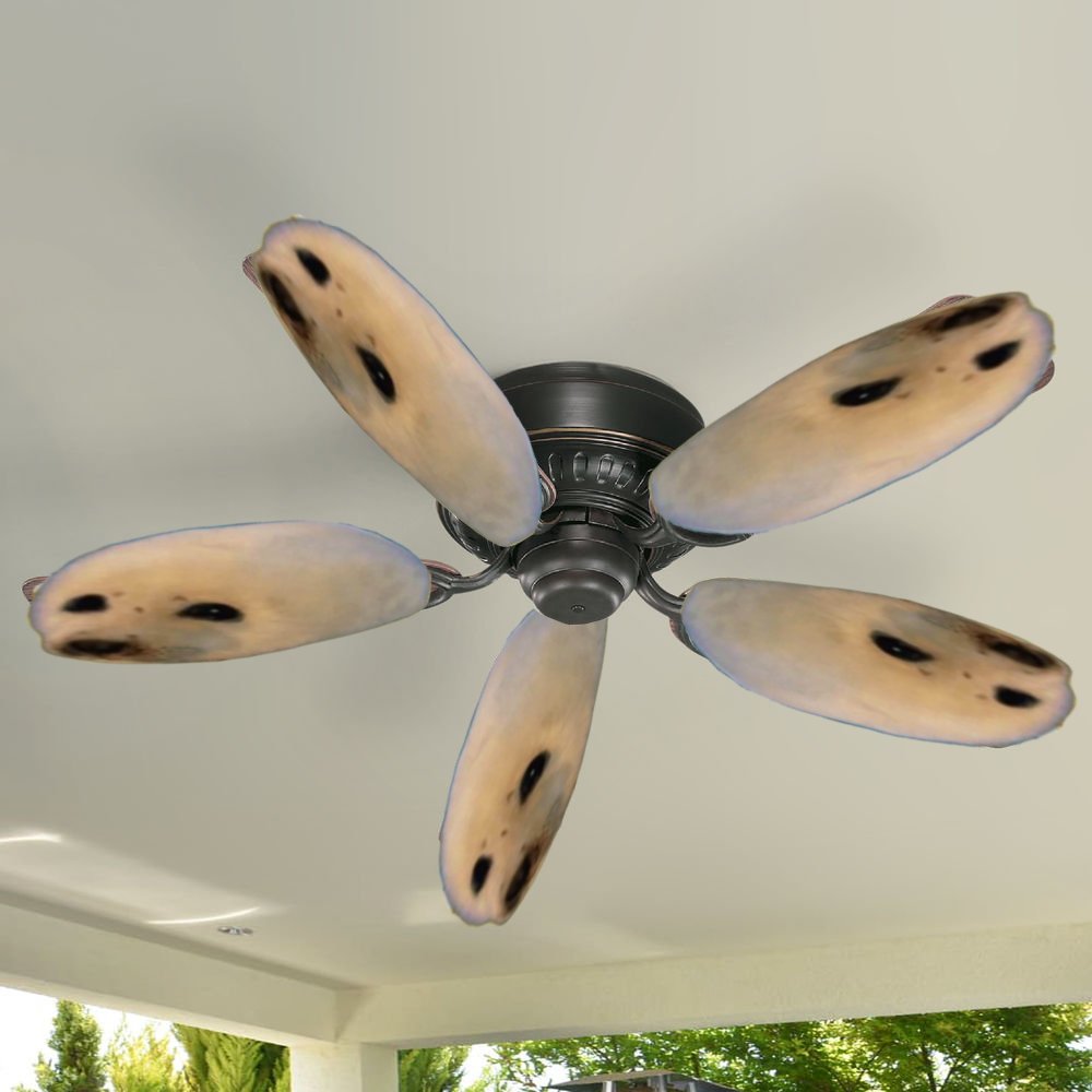 Mawce_PNG's tweet photo. Sealing fan.... https://t.co/QH5H8WMYuB
