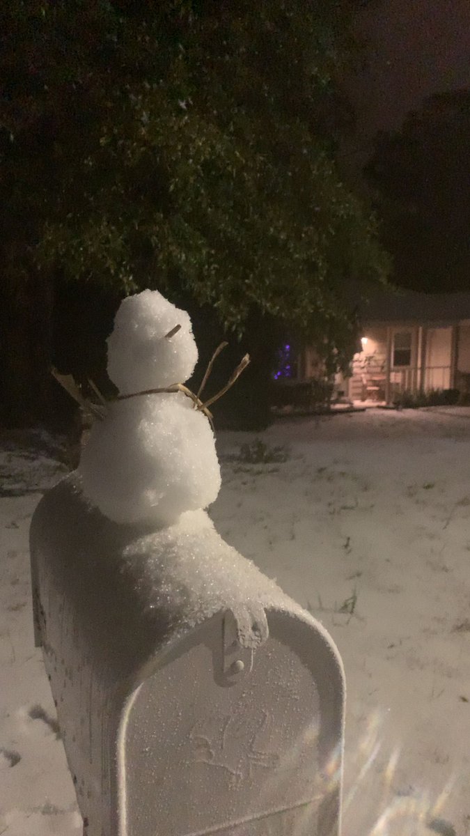 princesaoliushk's tweet photo. #Tallahassee #snowfall https://t.co/LUInTjSWMe
