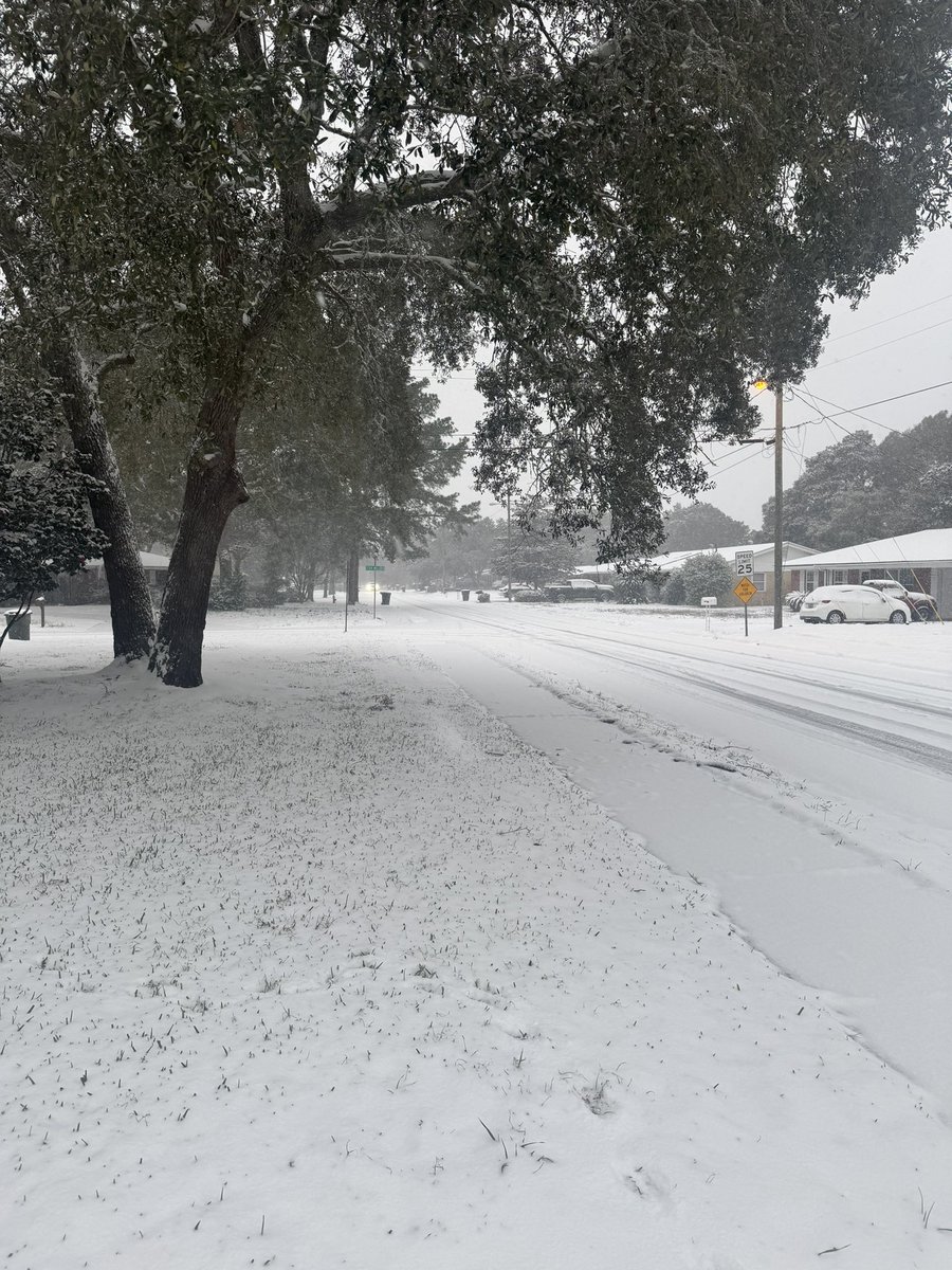 This is the Florida Gulf Coast…best of both worlds 🌴❄️