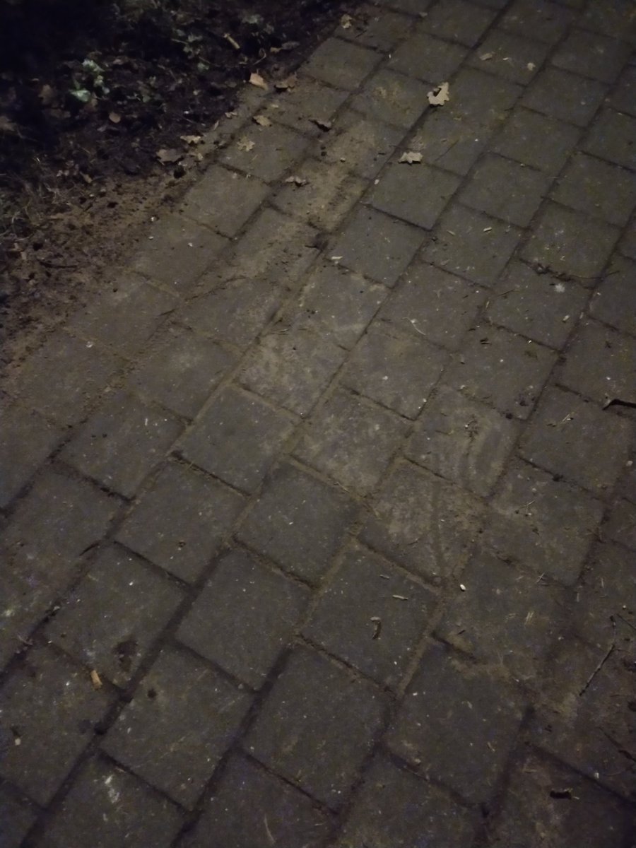 Compliment voor onderhoudsploeg <a href="/gemeentezeist/">Gemeente Zeist</a> Melding voor +10 losse tegeltjes binnen 24uur gefixt. @Kerckebosch