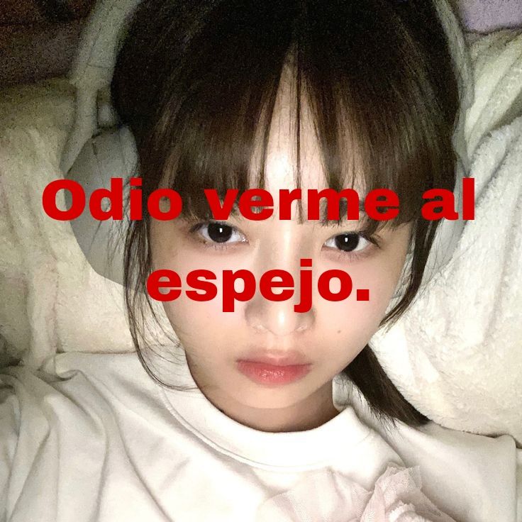 Me veo cada vez más gordq.
 #edtw #edtwt #ed #anaymia