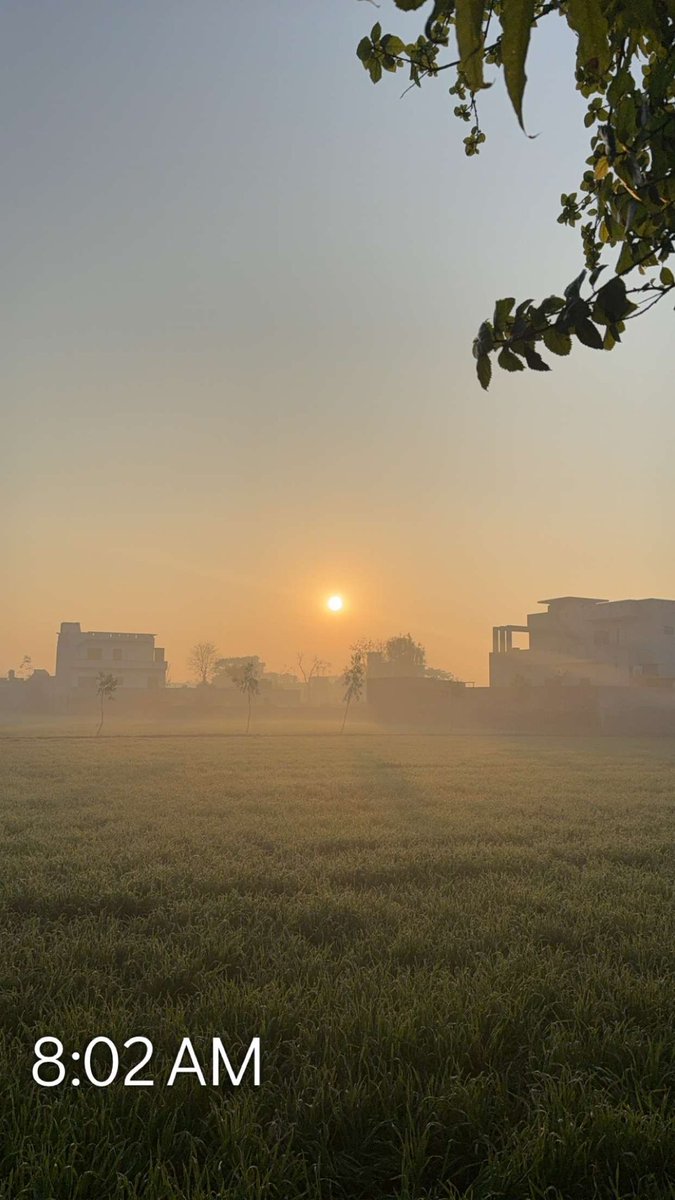 tejimalhi1's tweet photo. #pind https://t.co/BQxemWjpnQ