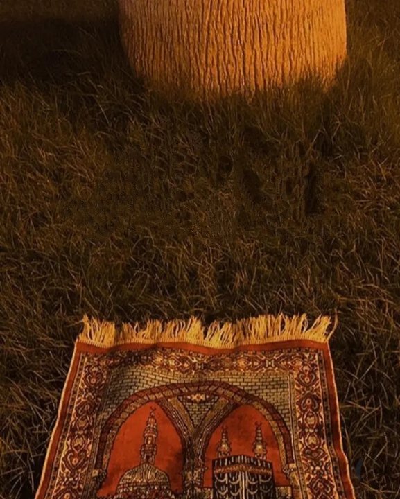SSelmaakyol's tweet photo. Es-Selâmû Aleyküm.

 بِسْــــــــــمِ ﷲِالرَّحْمٰنِ الرَّحِيمِ

En güzel teslimiyet, İstediğin şeyler olmadığında da, Allahım sen en iyisini bilirsin, diyebilmektir

• Elhamdülillâh-i Âlâ Küllî Hâl. ☝🏼 🌷

#SabahNamazı

#HayırlıSabahlar🌿🌺🌿 https://t.co/OyKWSbpZSl