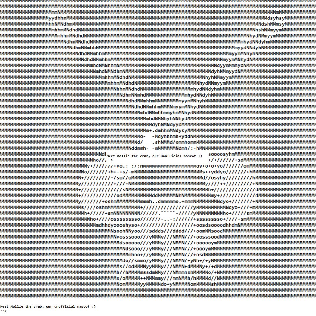 I just have a feeling that $mollie is going to run again.