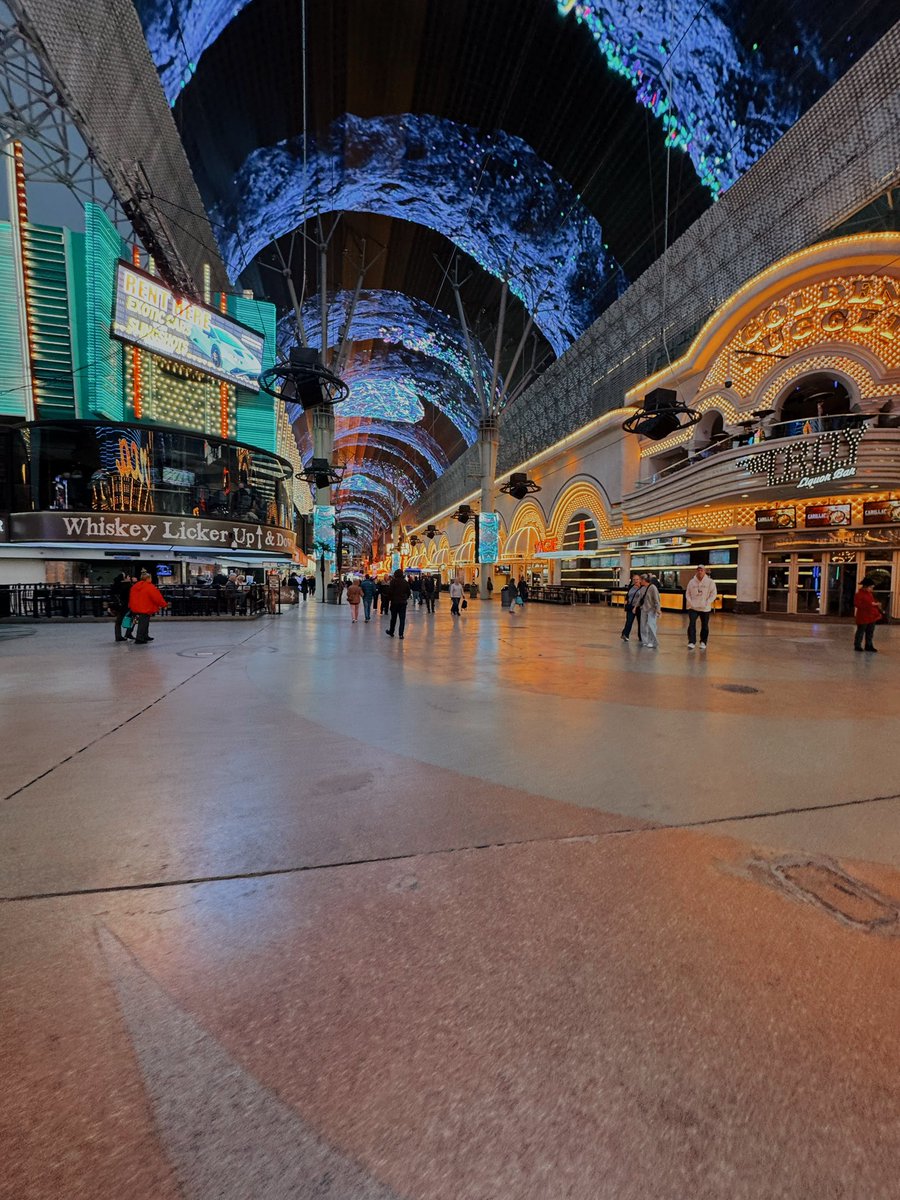 oKz | Tayrannosauruss 🦖 tweet media