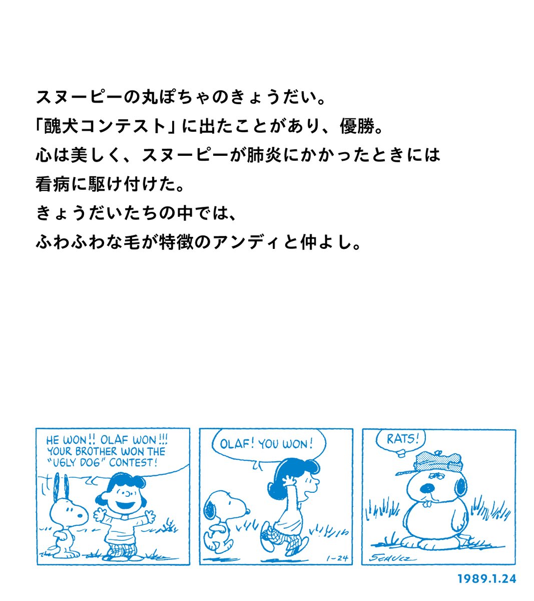 スヌーピーです。 SNOOPY（スヌーピー） ヘルメット SNJ-111 ブルー SG規格 全排気量OK