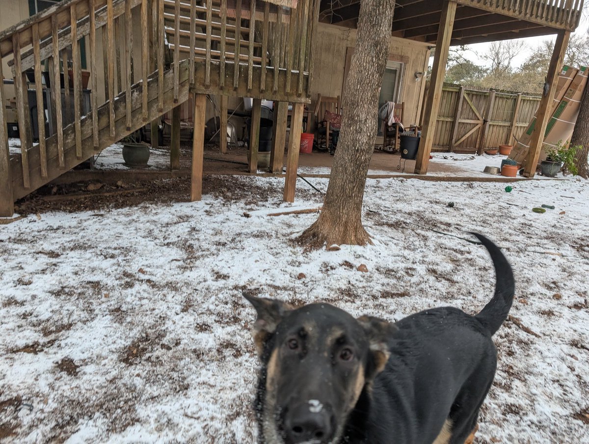 Very Bitey Di 🐕‍🦺 tweet media