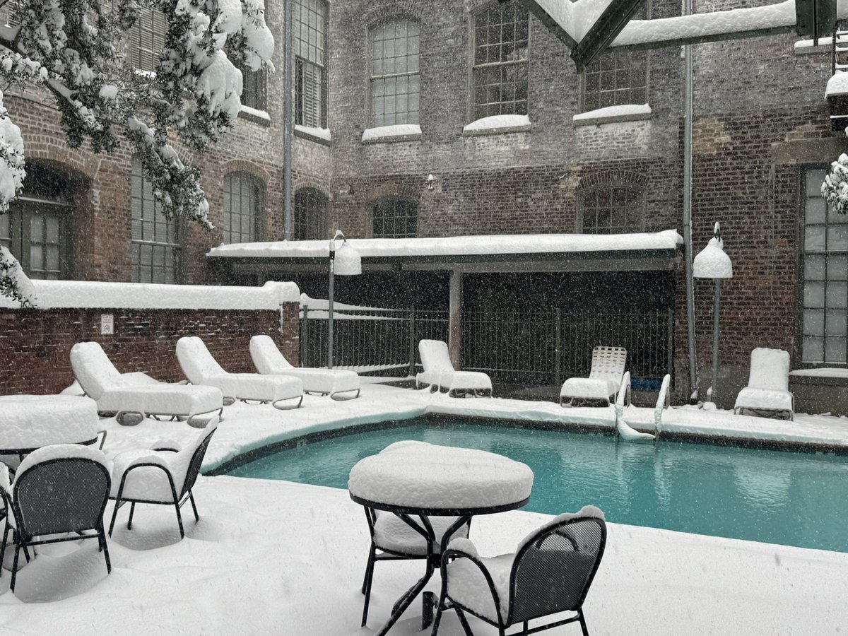 Fav snow 📸 of my day #BayouBlizzard #SneauxDay #SNOLA #lawx #neworleanssnow #polarplunge