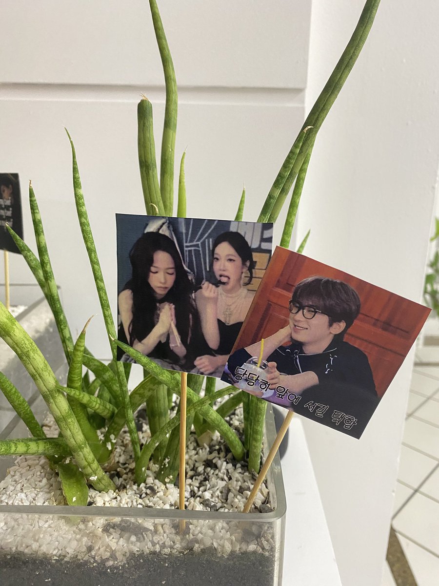 cheerstoluli's tweet photo. aqui a decoração pro meu aniver foi altamente planejada!!!!!! nunca fiquei tao feliz com papel e palito apois foi um feat q fizeram história 🥺🥺🥺🥺🥺🥺🥺🥺🥺 https://t.co/lr53BQ4dD5