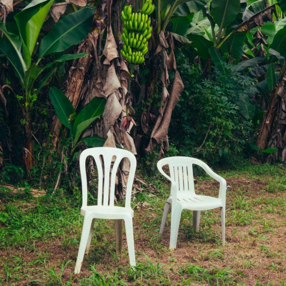 SmokezXBT's tweet image. Think i just bidded the Current Hottest Viral Tiktok trend. 

Currently Migrating.. Waiting for confirmation.