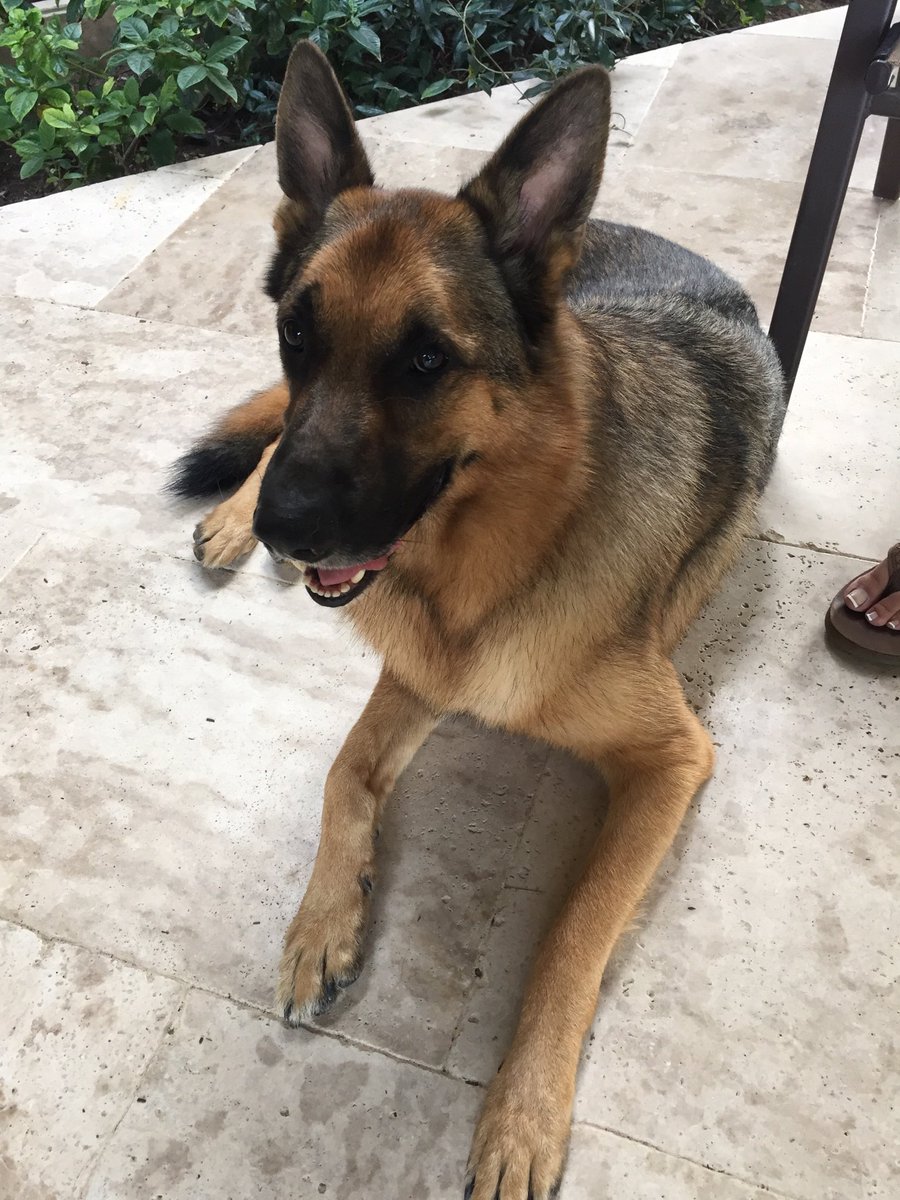 Happy birthday Lance ❤️ I love and miss you my boy