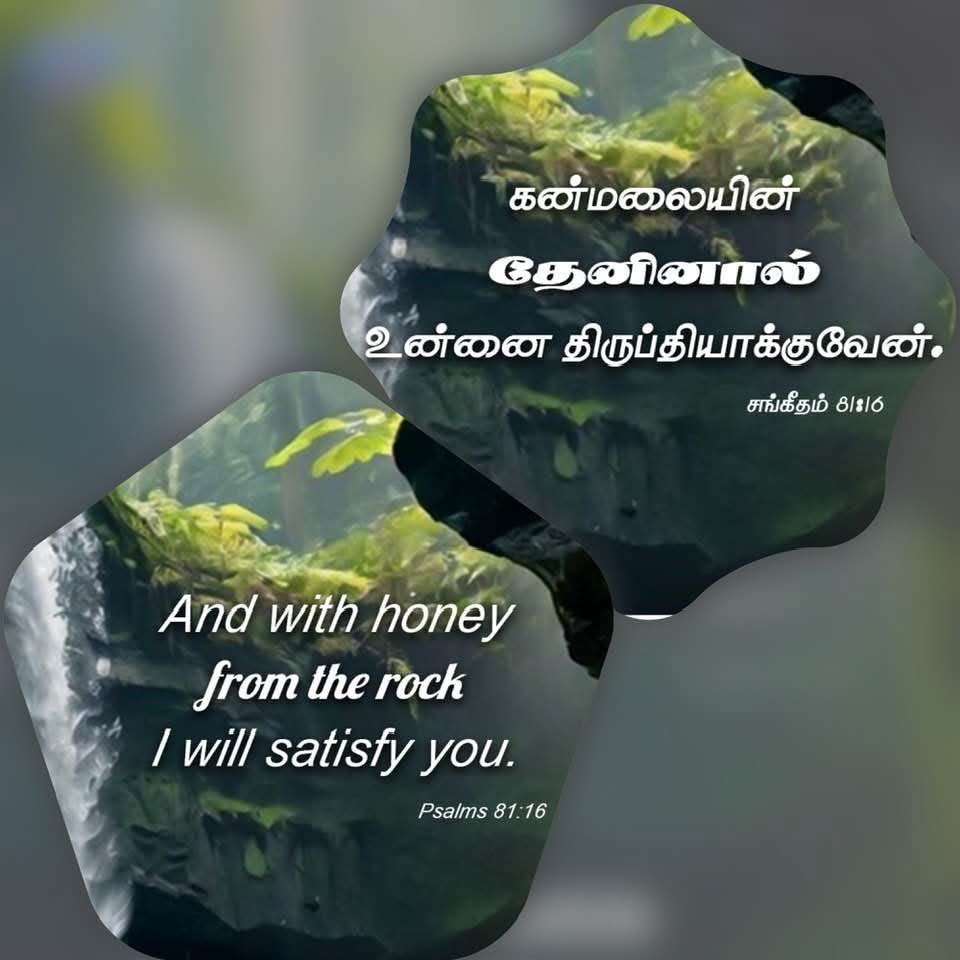 jesuswords01's tweet photo. https://t.co/RPRt06vtHt
