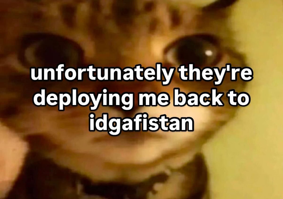 hourly_shitpost's tweet photo. https://t.co/jgjMKFyMS1